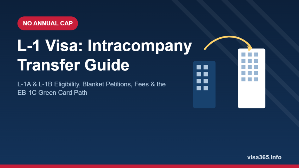 L-1 visa intracompany transfer guide - L-1A and L-1B eligibility, blanket petitions, and EB-1C green card path