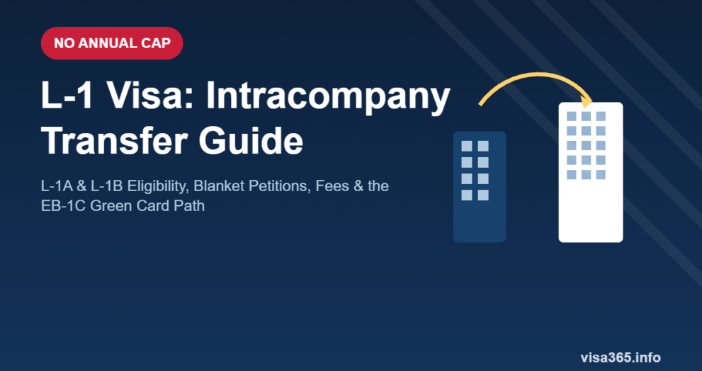 L-1 visa intracompany transfer guide - L-1A and L-1B eligibility, blanket petitions, and EB-1C green card path